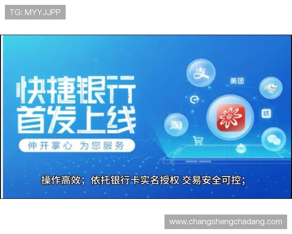 在凯发国际中国官方网站上体验高效便捷的账户管理和安全支付服务